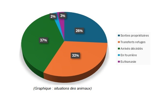 Graphique répartition des animaux : 37% arrivés décédés 32% transférés en refuge 26% sorties propriétaires 3% euthanasie 2% en fourrière